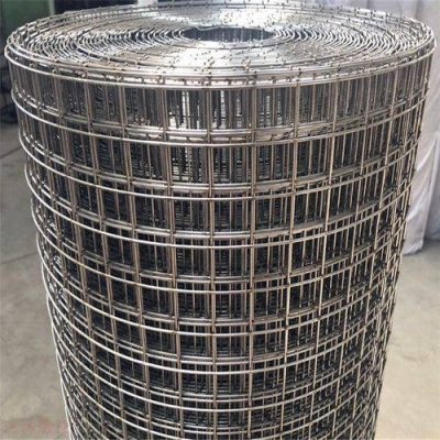 S S 316 Welded Wire Mesh