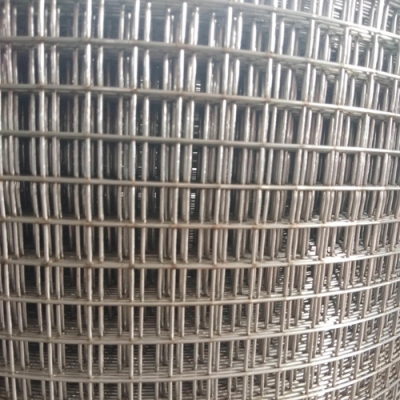 S S 316 Welded Wire Mesh